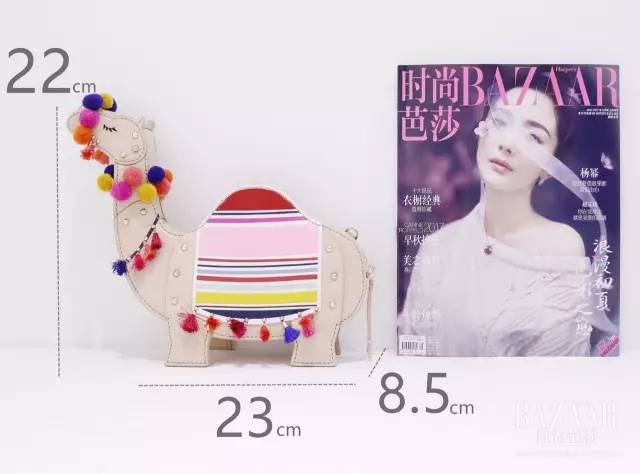 带“大象”上街，牵“骆驼”溜马路！有没人管呀？