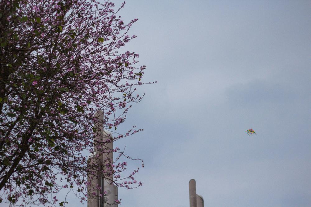 柳州高铁站柳州螺蛳粉,柳州高铁站最近的螺蛳粉