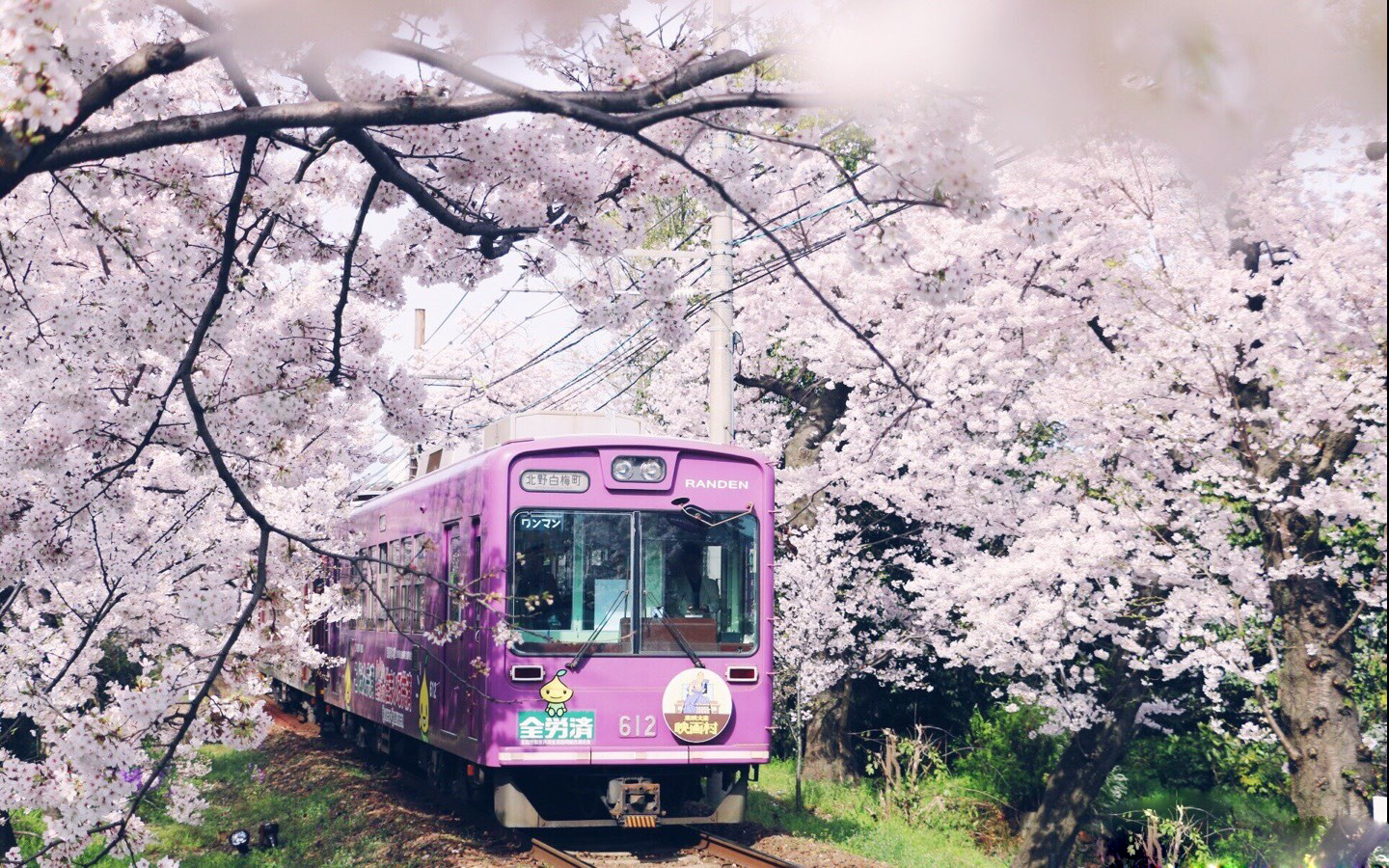 男朋友给我一套房子我该怎么办,男朋友为了当初许下的承诺努力