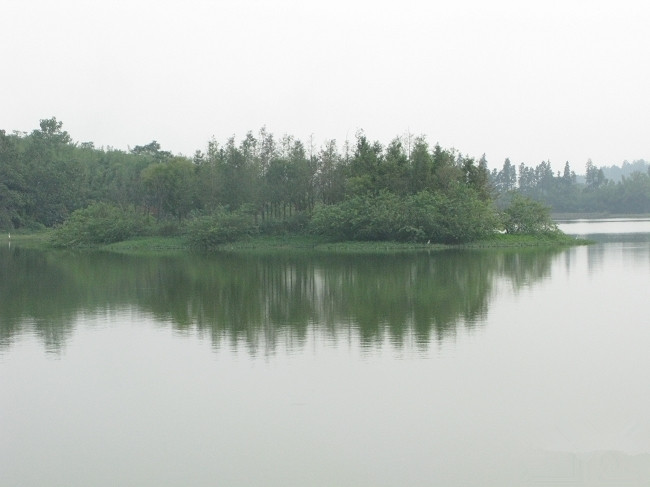 杭州新湖香格里拉叠拼别墅,新湖香格里拉1.18亿豪宅