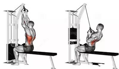 成年人通过练背可以把驼背练好吗,不练背展背是怎么样的