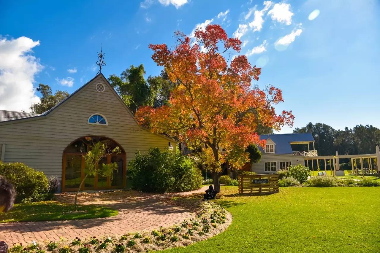 北石：这个由一群流放者建立的国家如今居然这么发达和美丽