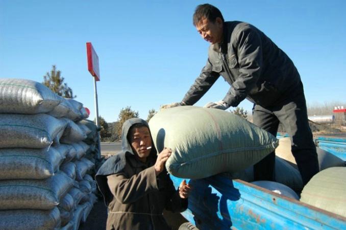 头条号新手期必须每天更新一篇吗,头条号新手期有哪些限制