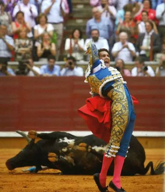 新西兰西班牙斗牛,西班牙杀斗牛