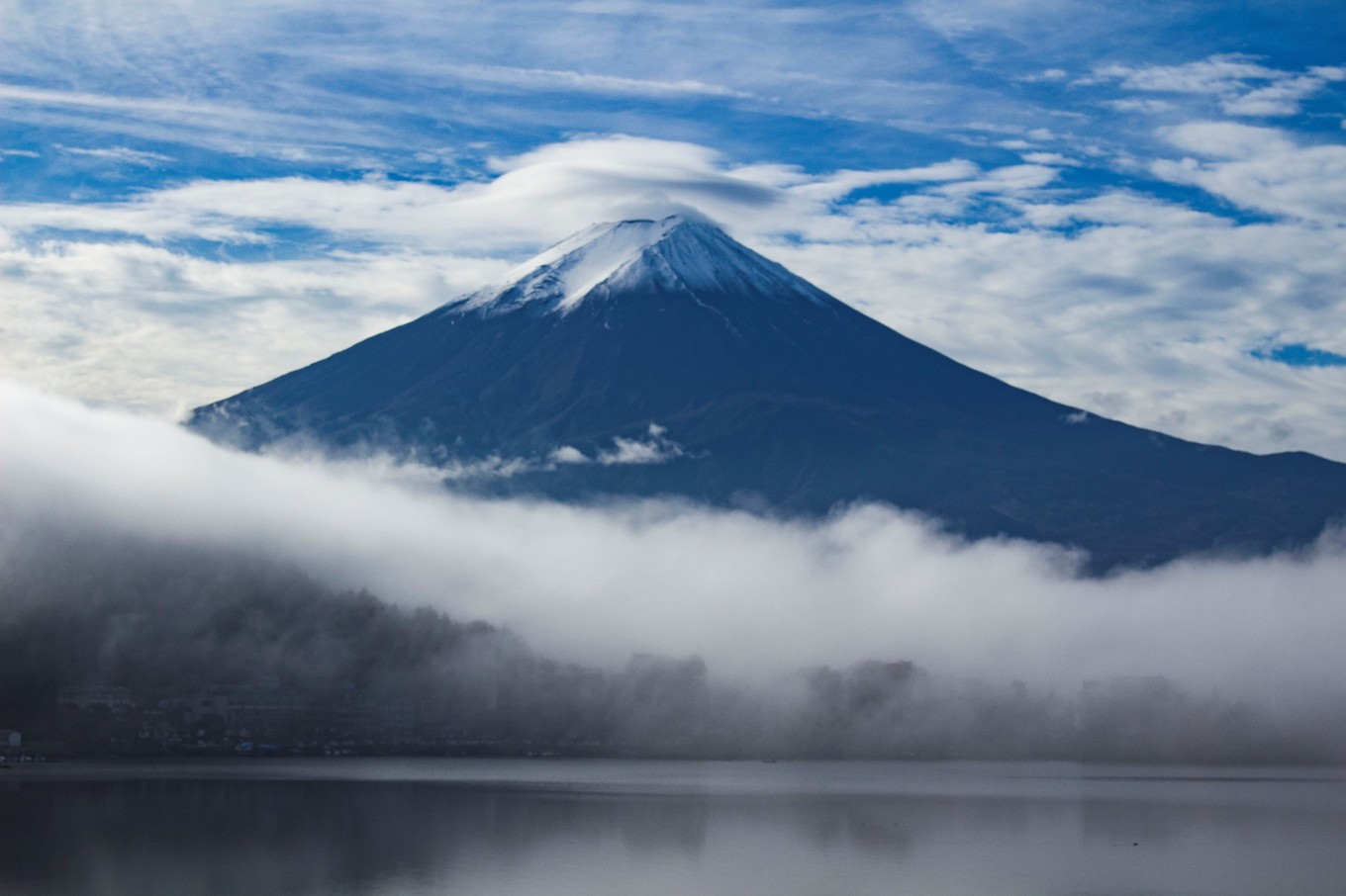 日本物语落樱下的邂逅,浪漫的日本物语