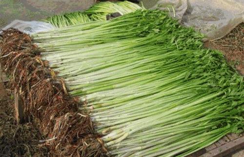 郭巷尹山湖最新视频,郭巷尹山湖原唱