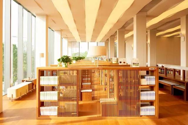 郑州的仲夏，与辛晓琪一起领悟爱的味道