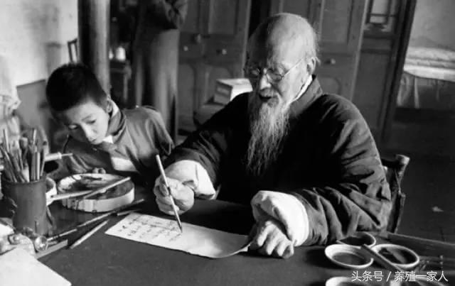 全牛各部位分割图解与吃法,牛肉超齐全的顶级牛肉知识和做法