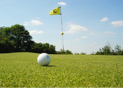 全球高尔夫球球星排名前十,全球十大最好的高尔夫球杆