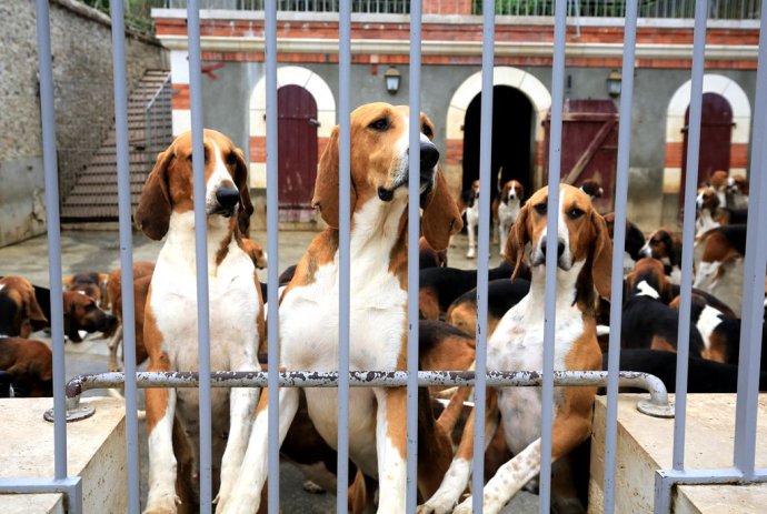 卢瓦尔河城堡简介,卢瓦尔河谷城堡位置在哪里