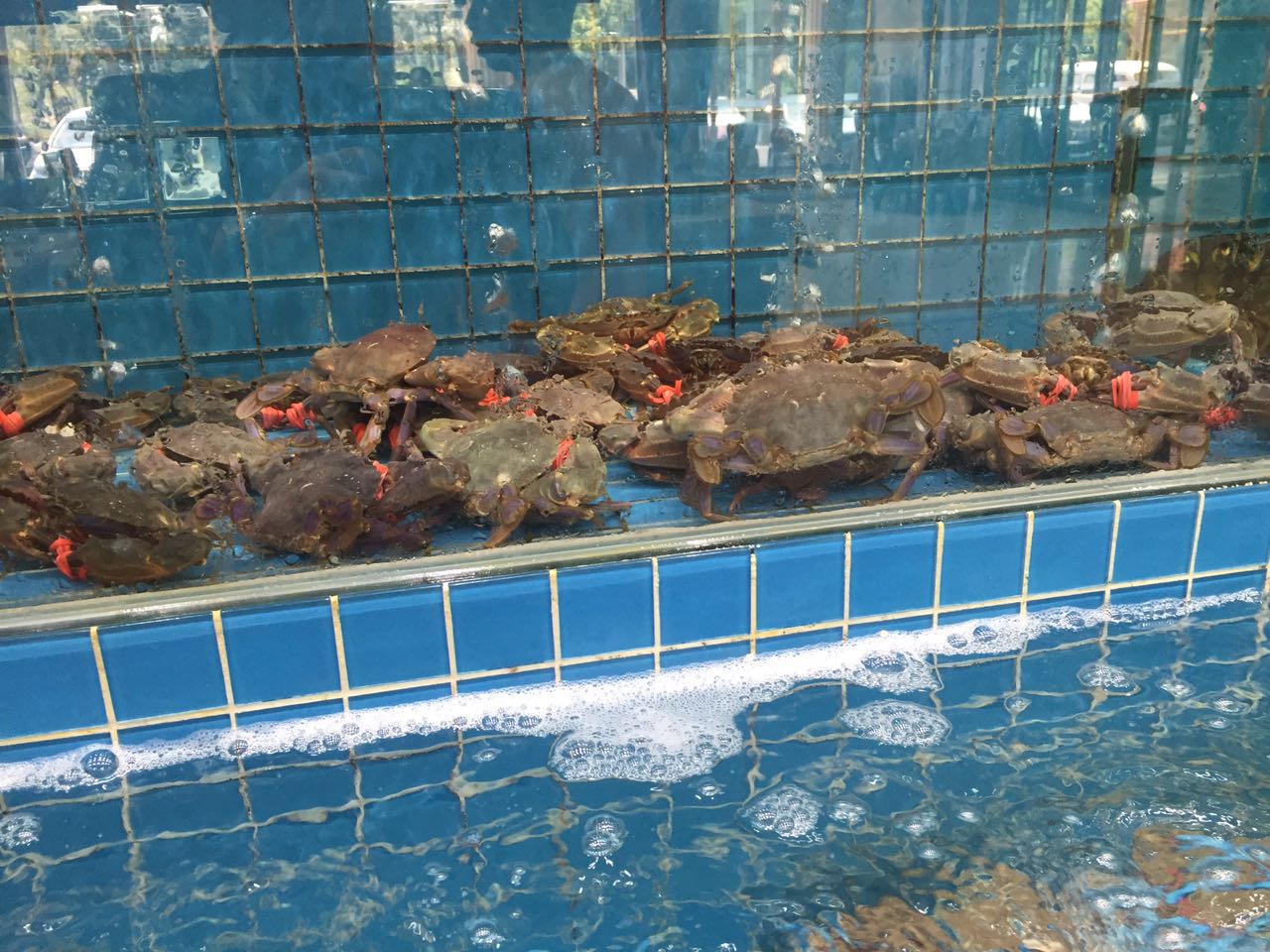 在北戴河可以吃什么,秦皇岛现在吃啥海鲜好