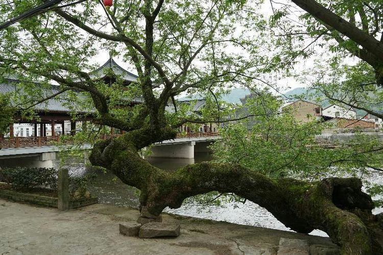 象山县石浦镇是城镇吗,象山石浦镇古城地图