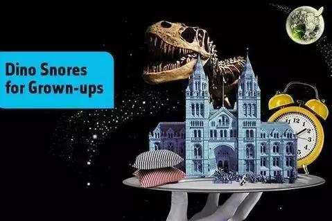 高端亲子旅行和一般亲子旅行差别,驴悦亲子