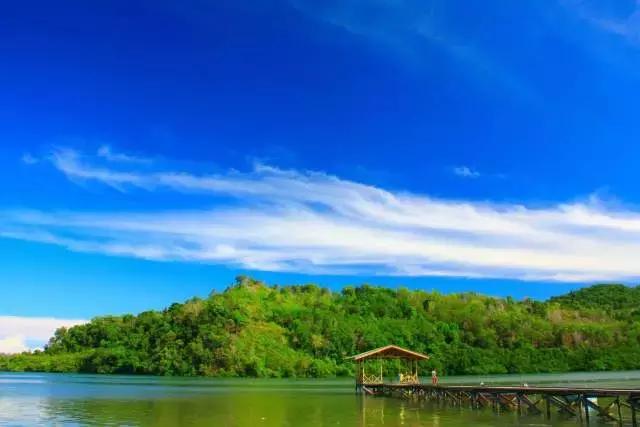 喜大普奔完整版视频,喜大普奔完整视频