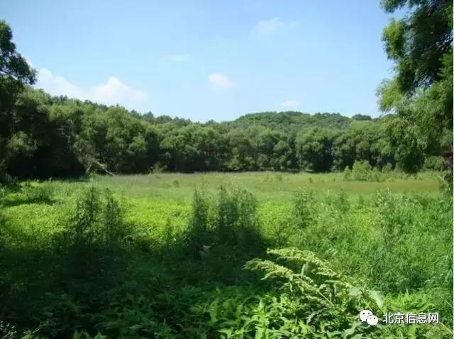 父亲节陪爸爸去玩耍,爸爸和宝贝间的互动父亲节