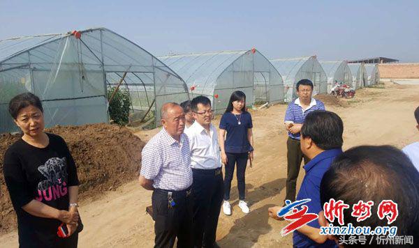 忻州市政协座谈会,忻州市政协调研