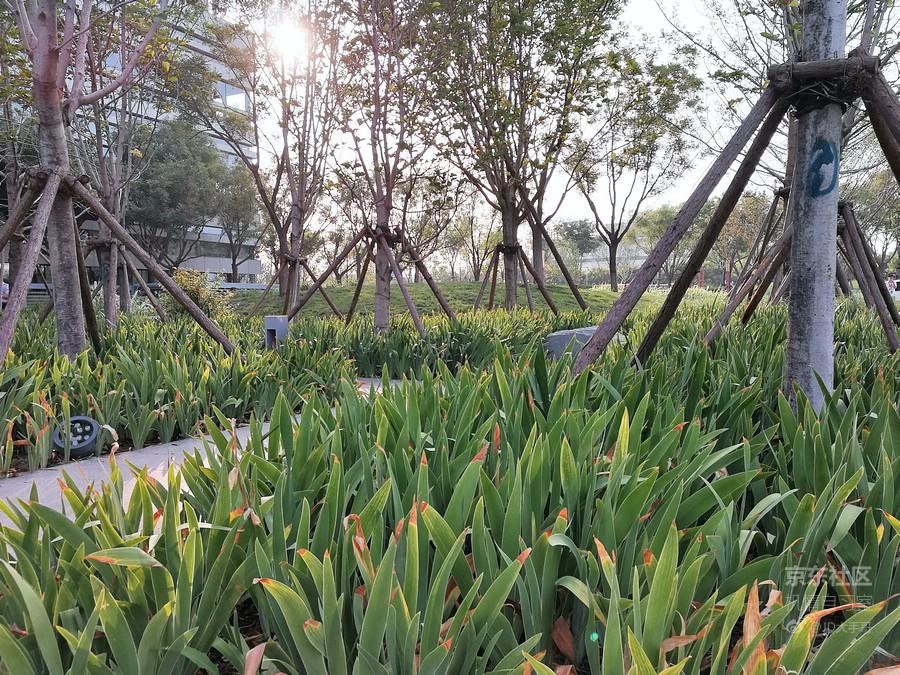 荣耀麦芒9值不值得买,荣耀平板9值不值得购买