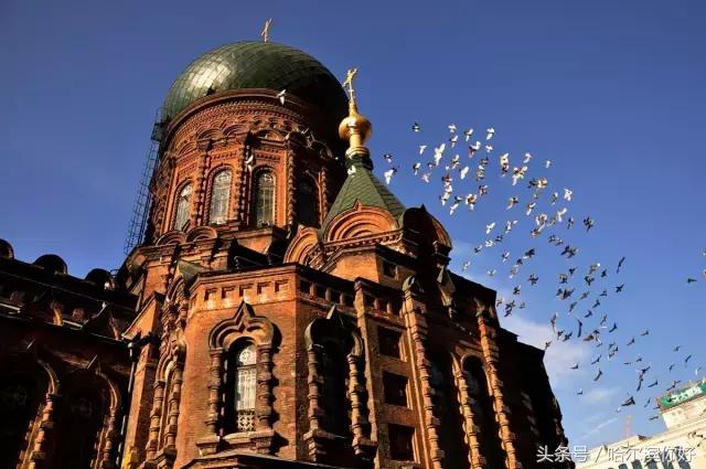 中俄博览会小吃,中俄博览会俄罗斯食品