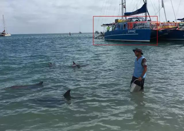 西澳珀斯游记,西澳游记攻略