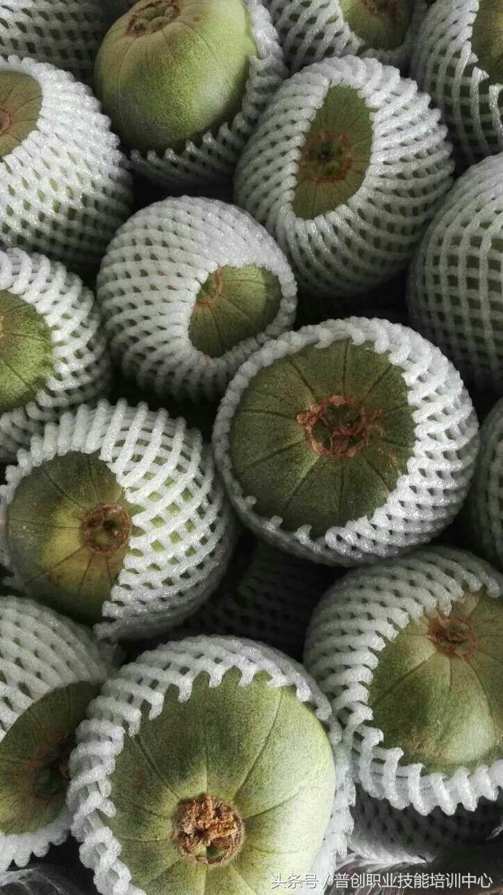 葡萄种植管理技术唐老师,如何管理葡萄才能高产的技术