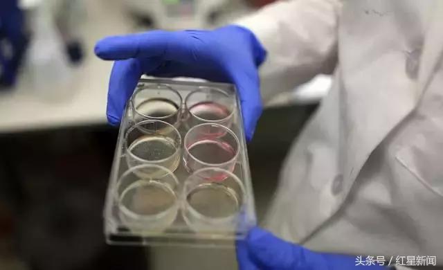 起死回生的实验,起死回生有可能实现吗