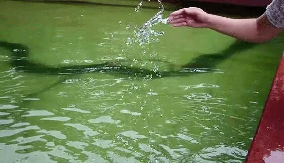 绱㈠凹xperia1鎽勫奖澶у笀涓嬭浇,绱㈠凹xperiaxz鎷嶆憚浣撻獙