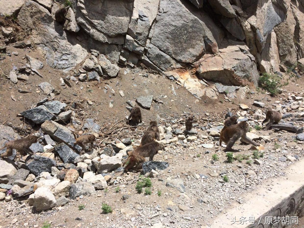 西藏之旅到达拉萨,去拉萨12天之行