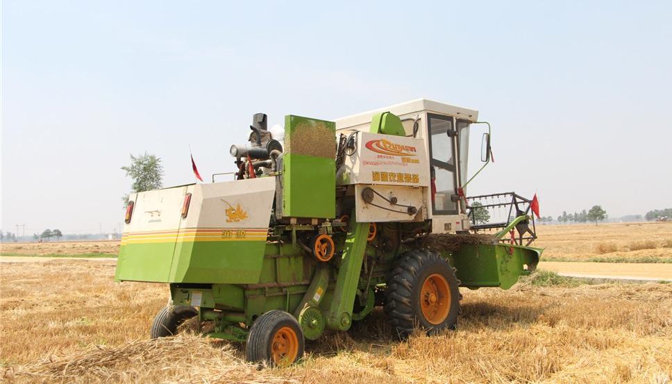纵横田间，麦收不将就，这款山东“壮汉”收割机就是猛