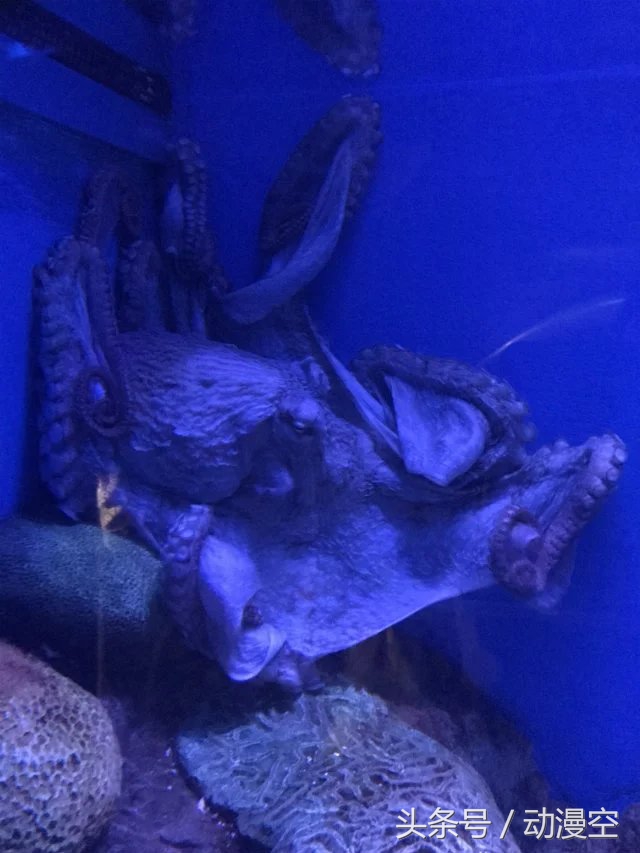 假期去香港澳门玩,近期旅游香港澳门之旅