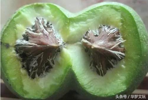 连体双瓣异形小核桃,分两瓣的文玩核桃