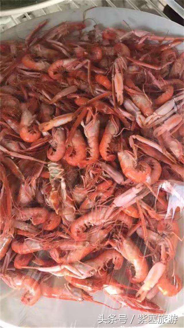 河北田园农家乐攻略,河北海边最有特色的海边农家乐