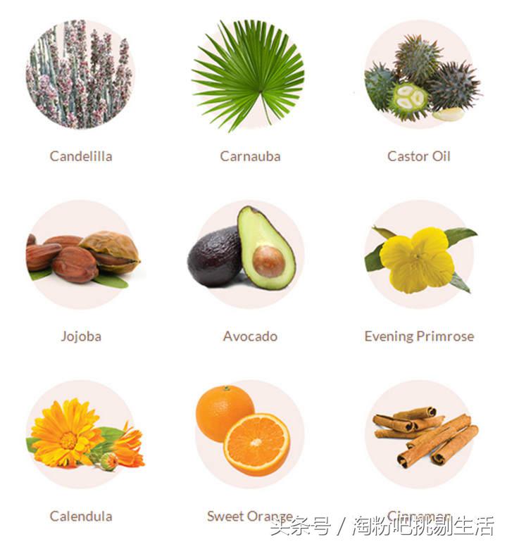 能收回来的口红,颜色好看又好用的平价口红