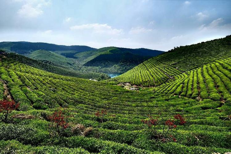 象山县石浦镇是城镇吗,象山石浦镇古城地图