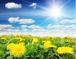 太阳雨古诗词,太阳雨原创诗歌