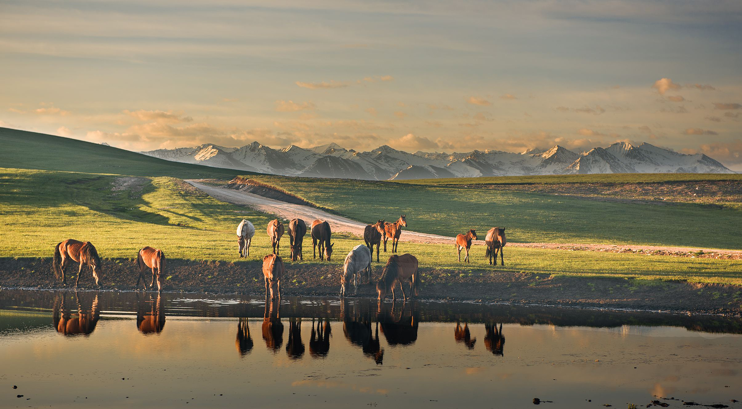 畅游塞外江南｜伊犁最详细最实用的旅行指南（1）