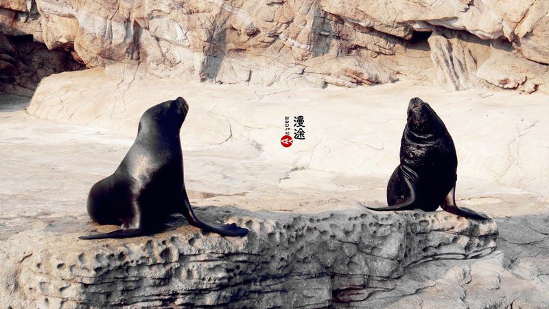 长隆亲子两大两小旅游攻略,珠海长隆横琴湾酒店亲子攻略