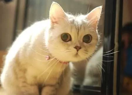 手足口病渐入高发季,儿童手足口病病例死亡