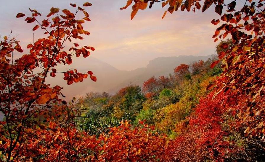 河南15个最值得去的景区排行榜,河南几个值得去玩的景区