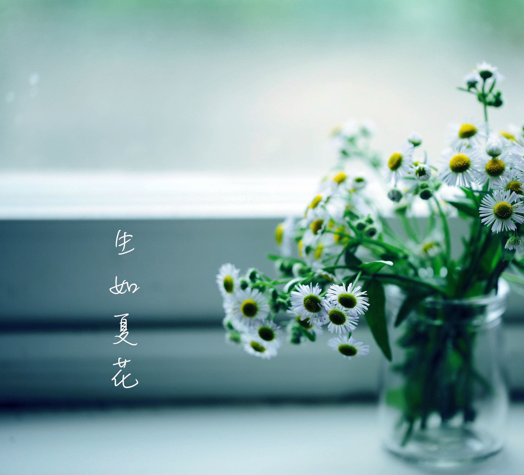 歌曲生如夏花原唱,生如夏花唯美人像摄影教程