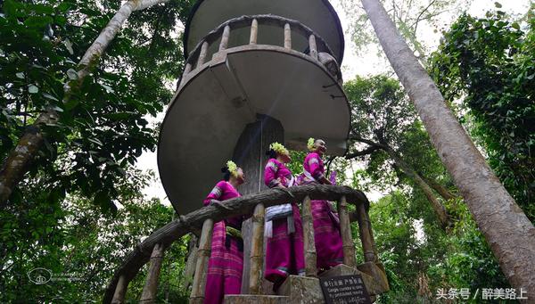 西双版纳在水一方泼水节,版纳哪里可以感受泼水