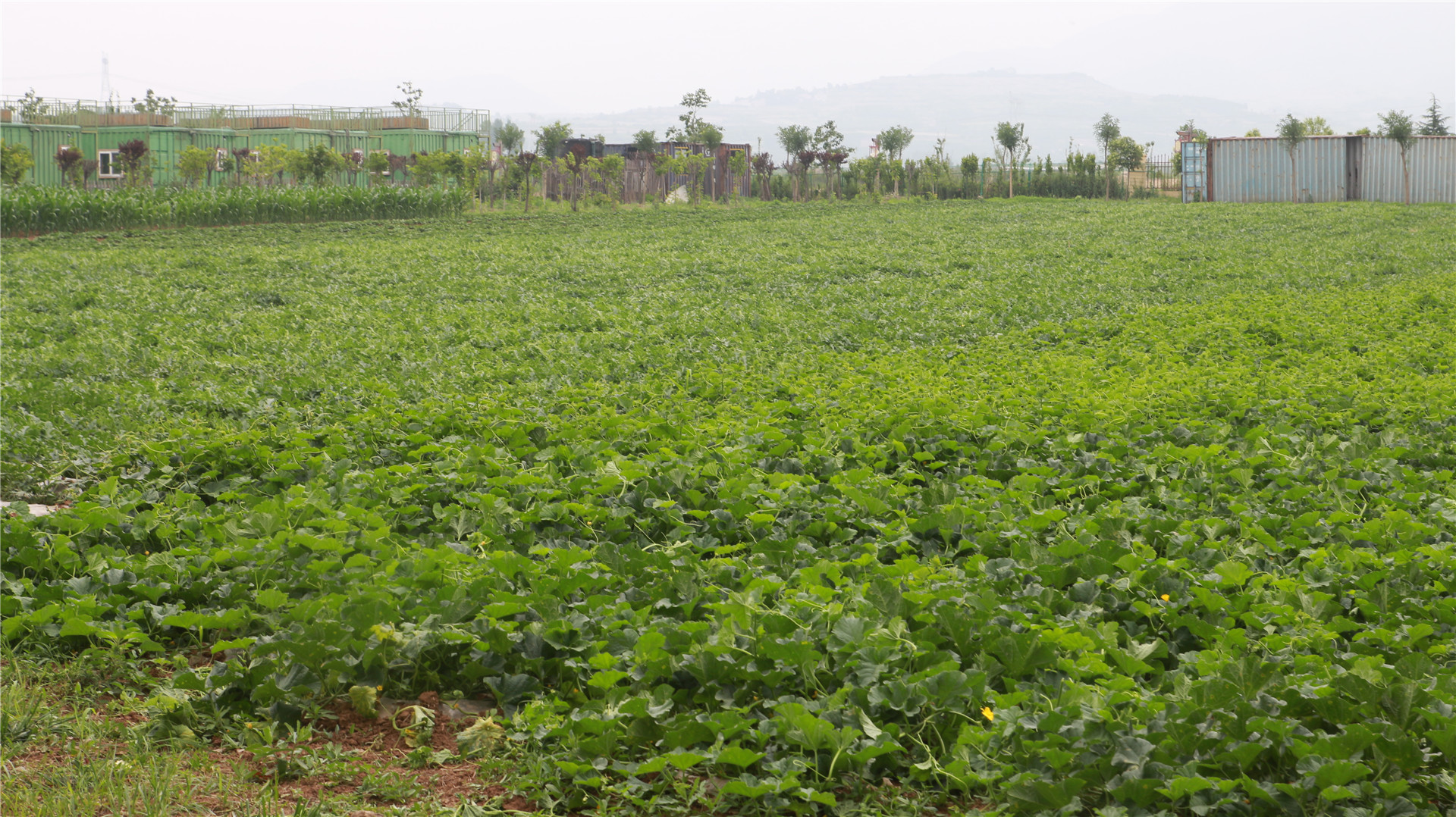 西安南山避暑胜地一日游,西安夏天避暑度假的好去处