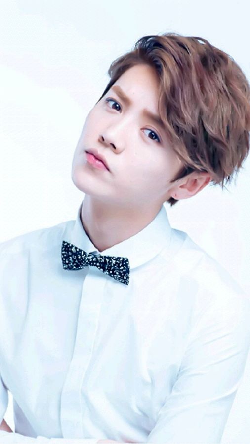 鹿晗勋章歌词壁纸图片,鹿晗关晓彤图片壁纸全屏