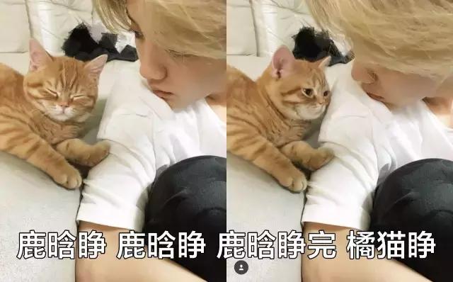 鹿晗斜杠,和鹿晗同龄男明星对比