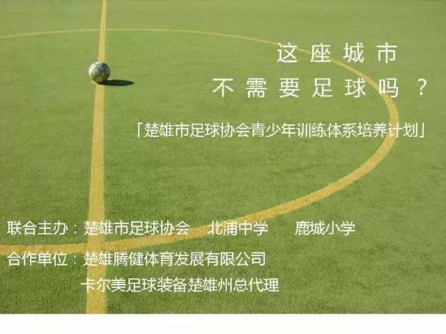 足球青训俱乐部工作计划,楚雄足球协会青训