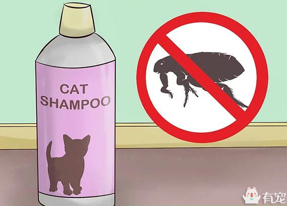 小猫用什么洗发水好 (给猫买哪些洗发水比较好)