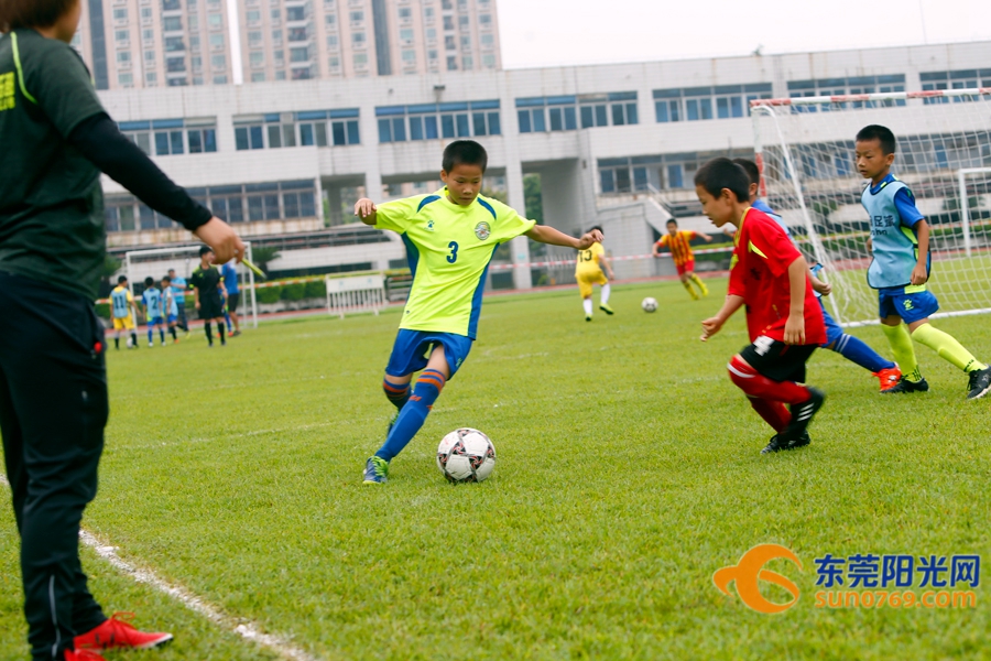 足球胜负怎么理解,如何做到足球胜负分析精准