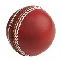 精灵宝可梦在现实中长什么样,精灵宝可梦到底是中国还是日本的