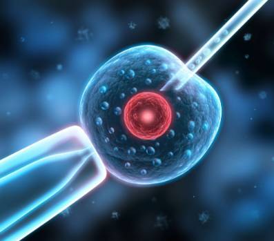 试管婴儿复杂吗,试管婴儿的过程复杂吗