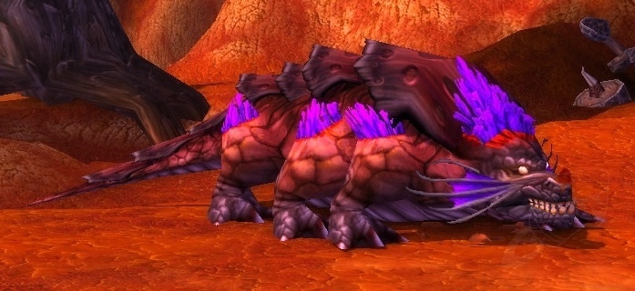 魔兽世界猎人稀有精英宝宝,猎人7.0宝宝推荐