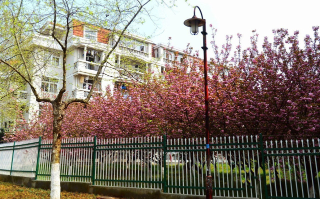 南工学校怎么样,南工学校